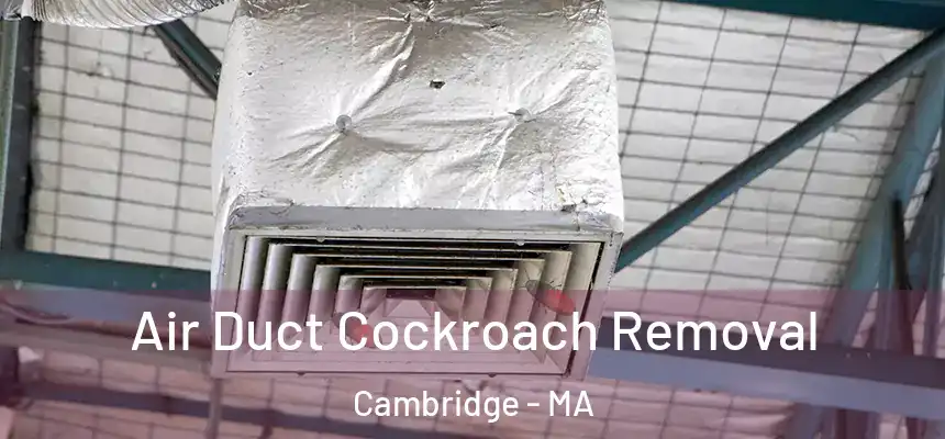  Air Duct Cockroach Removal Cambridge - MA