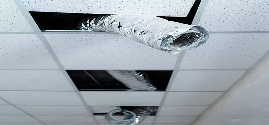 Affordable HVAC Sanitizing After Pest Removal in Cambridge