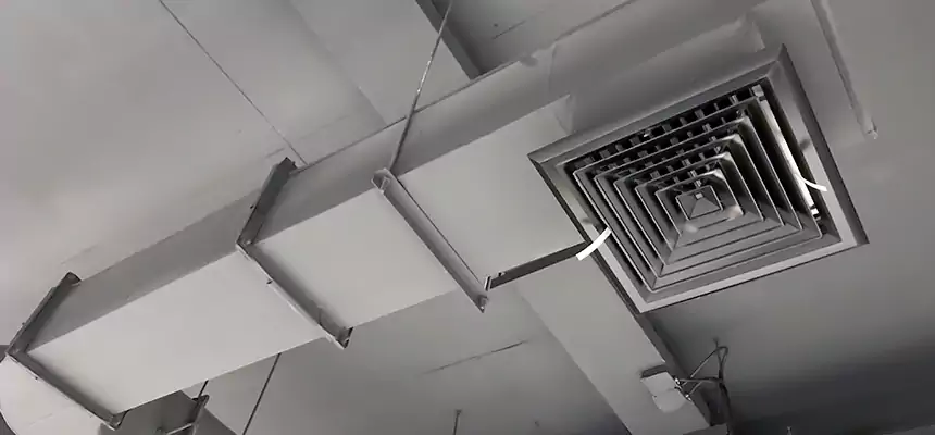 Our Pest Removal From Ducts Services in Cambridge, MA