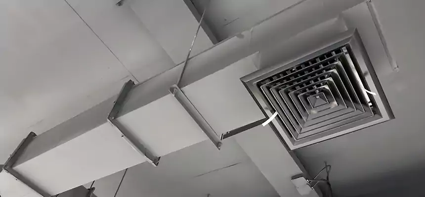 Our Rodent Droppings In Vents Services in Cambridge, MA