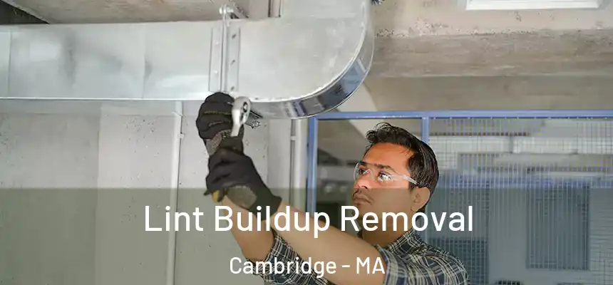  Lint Buildup Removal Cambridge - MA