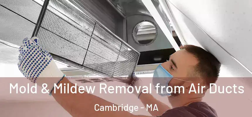  Mold & Mildew Removal from Air Ducts Cambridge - MA