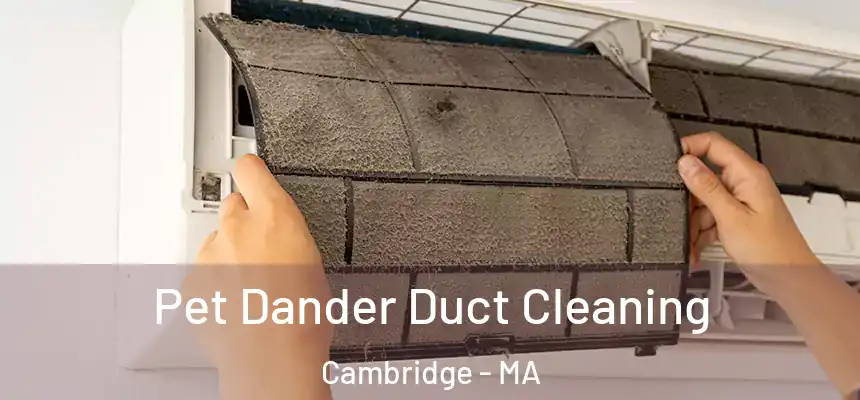  Pet Dander Duct Cleaning Cambridge - MA
