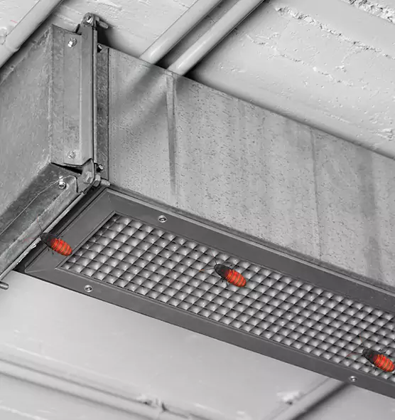 About Air Duct Cockroach Removal in Cambridge, MA
