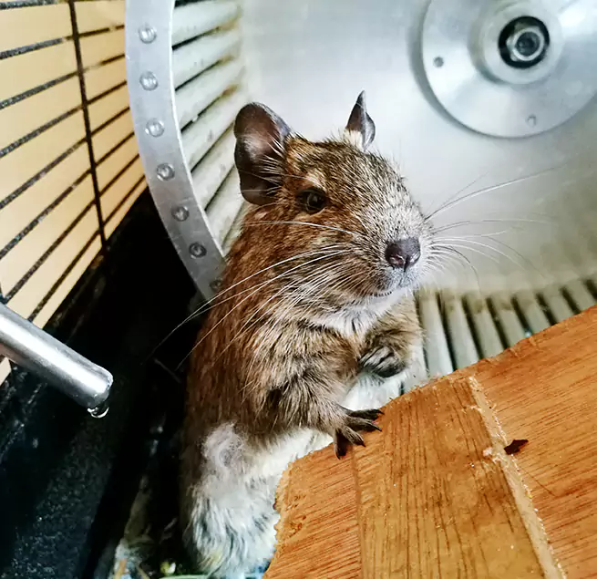 Why Homeowners & Businesses Trust Us Cambridge, MA?