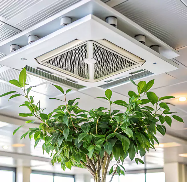 Why Homeowners & Businesses Trust Us in Cambridge, MA?