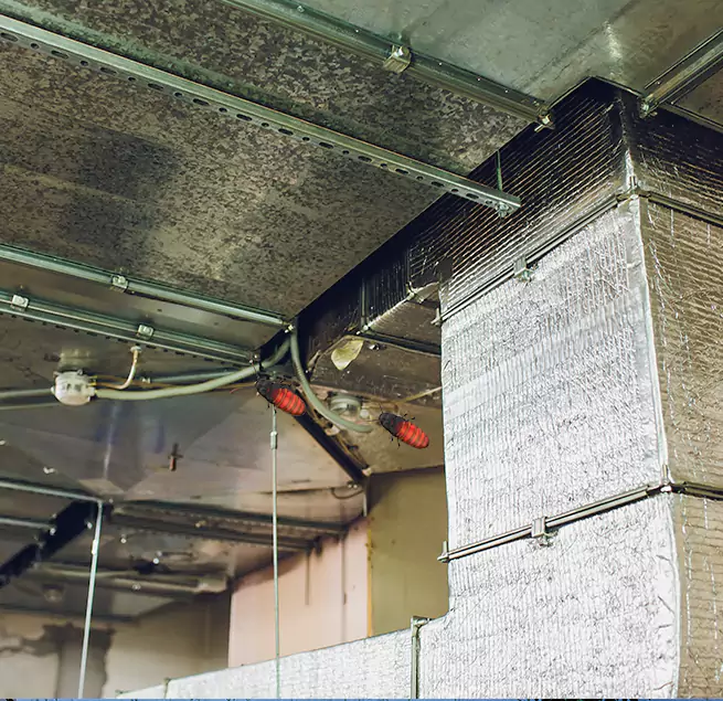 Why Homeowners & Businesses Trust Us Cambridge, MA?